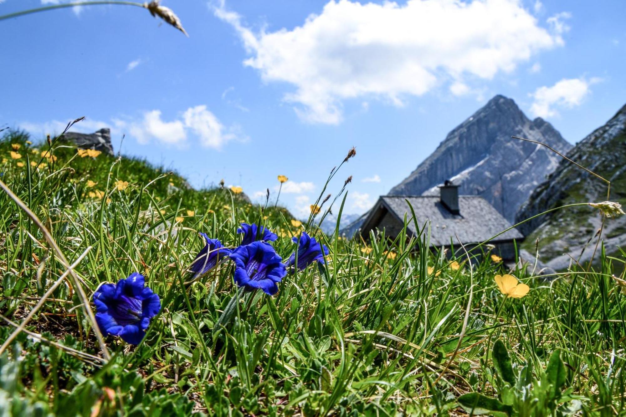 Ferienwohnung Fagstein Schonau am Konigssee Bagian luar foto